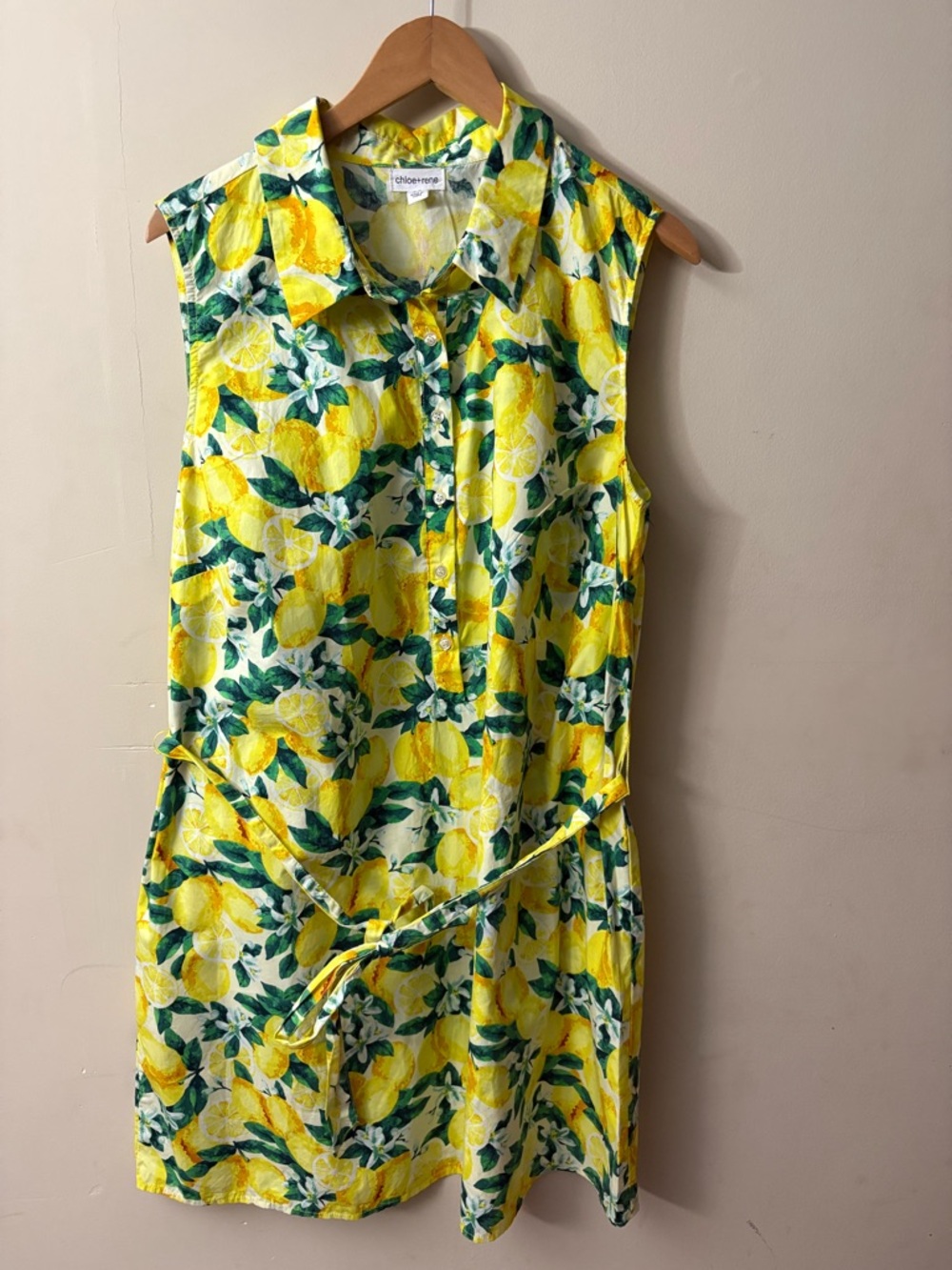 Chloe+Rene Lemon Print Sleeveless Cotton Dress Size 2X - Picture 2 of 8